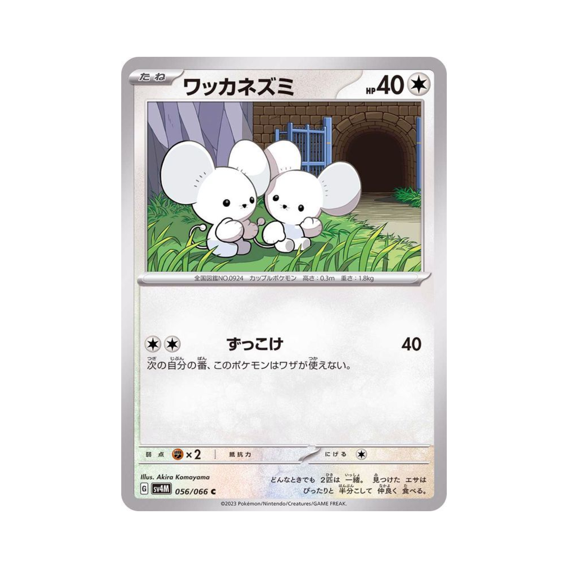 포켓몬 TCG 두리쥐 C 미래의 일섬 (일어판)(Pokemon TCG Tandemaus C Future Flash (Japanese Ver.)) - 1