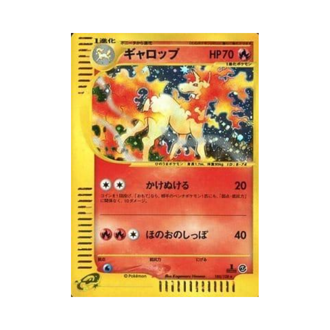 포켓몬 TCG 날쌩마 R 베이스 익스펜션 팩 (일어판)(Pokemon TCG Rapidash R Base Expansion Pack (Japanese Ver.))
