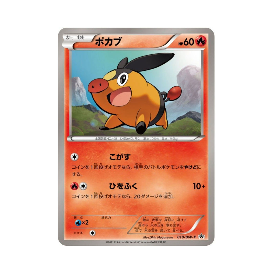 포켓몬 TCG 뚜꾸리 P 블랙 & 화이트 프로모카드 (일어판)(Pokemon TCG Tepig P Black & White Promos (Japanese Ver.))