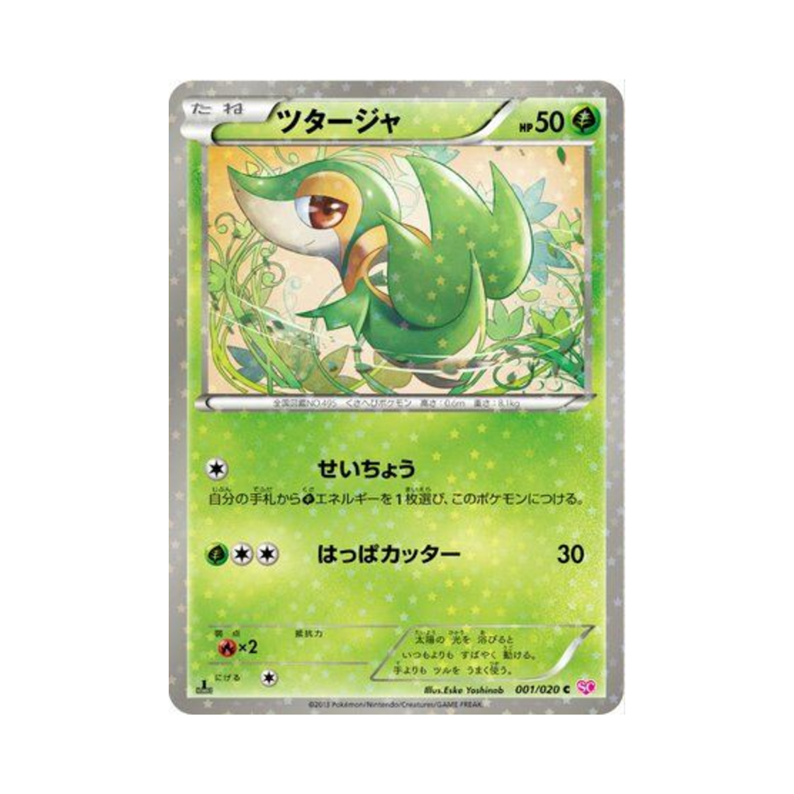 포켓몬 TCG 쥬리비안 C 샤이니 컬렉션 퍼스트 에디션 (일어판)(Pokemon TCG Snivy C Shiny Collection 1st Edition (Japanese Ver.)) - 1