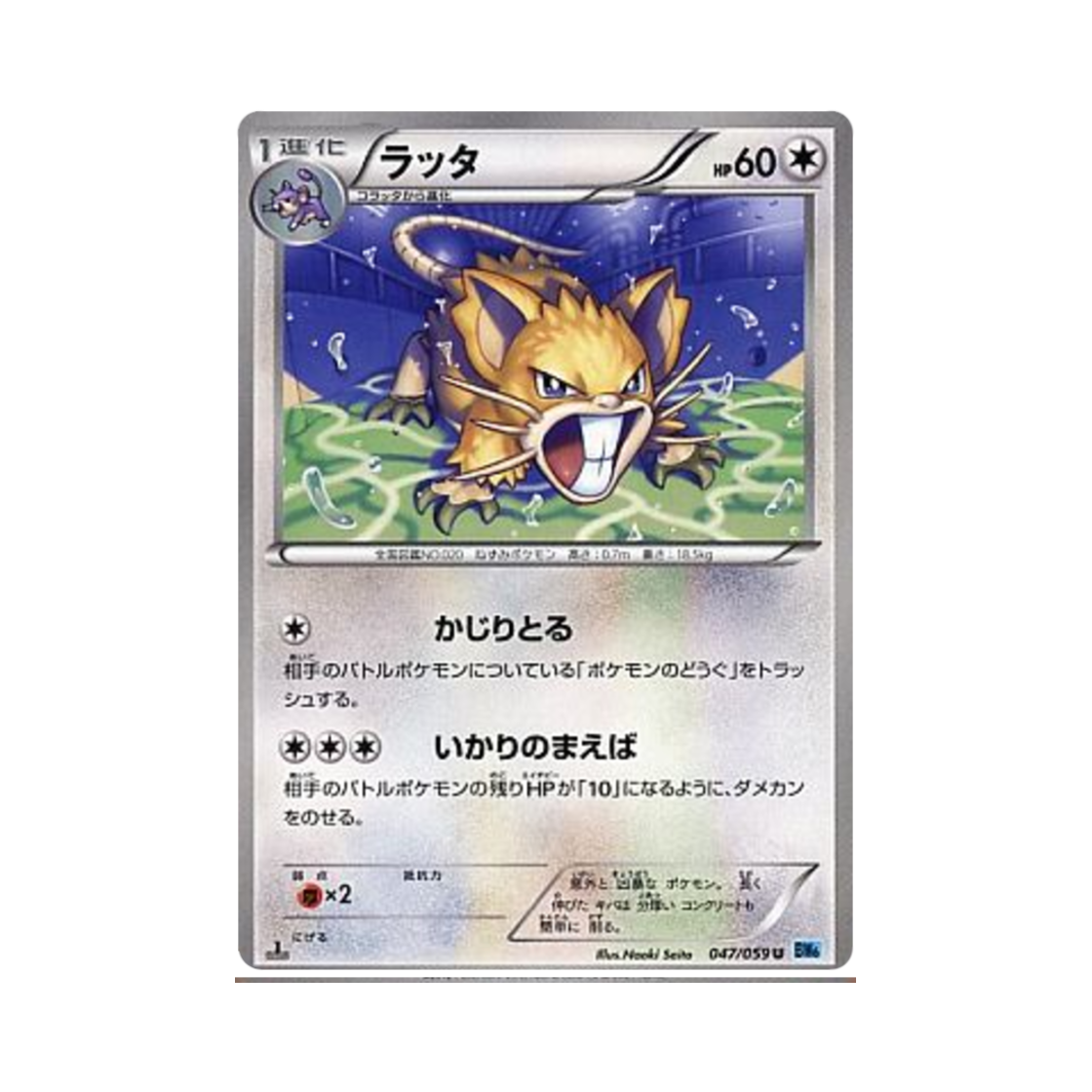 포켓몬 TCG 레트라 U 프리즈볼트 퍼스트 에디션 (일어판)(Pokemon TCG Raticate U Freeze Bolt 1st Edition (Japanese Ver.)) - 1
