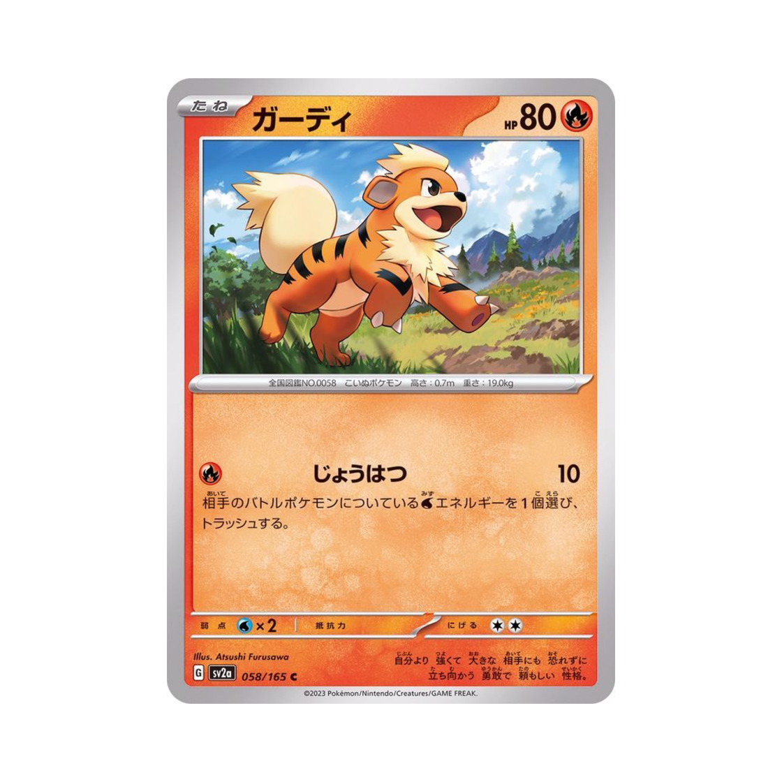 포켓몬 TCG 가디 C 포켓몬 카드 151 (일어판)(Pokemon TCG Growlithe C Pokemon Card 151 (Japanese Ver.)) - 1