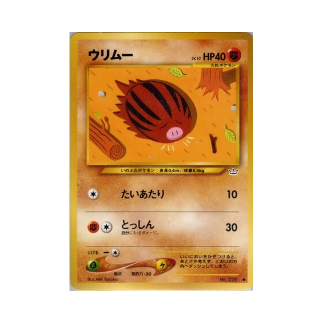 포켓몬 TCG 꾸꾸리 C 어웨이크닝 레전즈 (일어판)(Pokemon TCG Swinub C Awakening Legends (Japanese Ver.)) - 1
