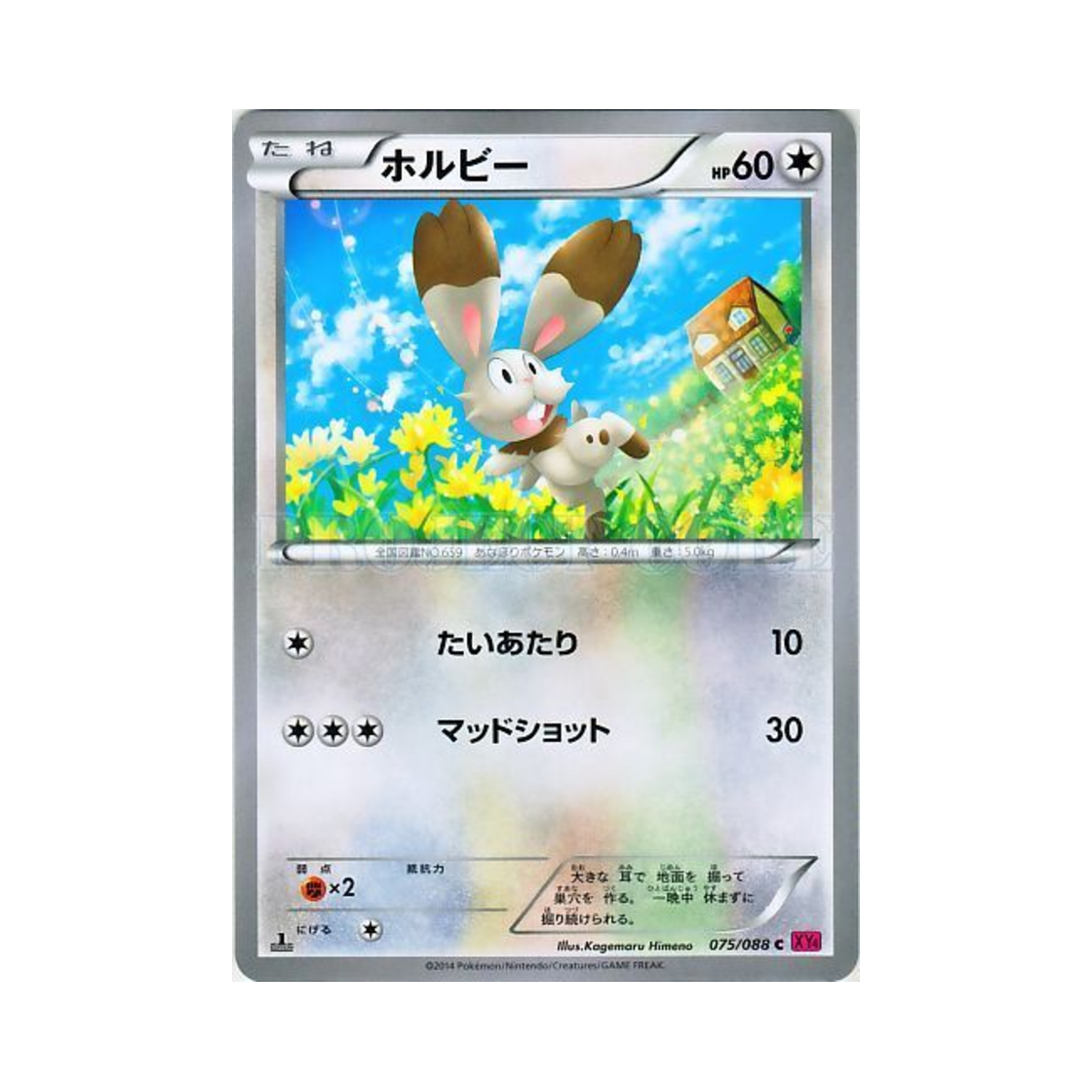 포켓몬 TCG 파르빗 C 팬텀게이트 퍼스트 에디션 (일어판)(Pokemon TCG Bunnelby C Phantom Gate 1st Edition (Japanese Ver.)) - 1
