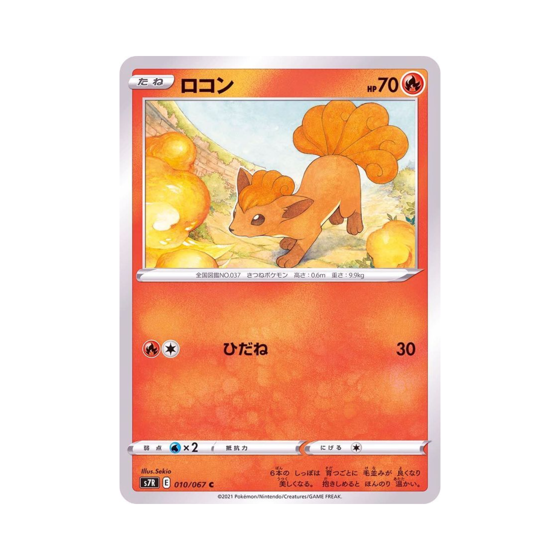 포켓몬 TCG 식스테일 C 창공스트림 (일어판)(Pokemon TCG Vulpix C Blue Sky Stream (Japanese Ver.)) - 1