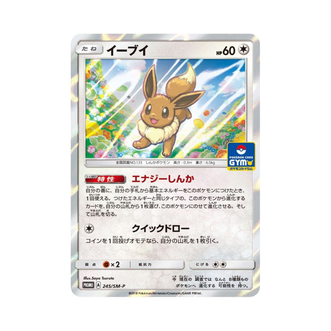 포켓몬 TCG 이브이 P 썬&문 프로모 카드 (일어판)(Pokemon TCG Eevee P Sun & Moon Promos (Japanese Ver.)) - 1