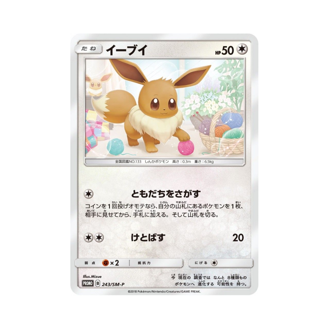 PROMO243-SM-P Pokemon TCG Eevee P Sun & Moon Promos (Japanese Ver.)