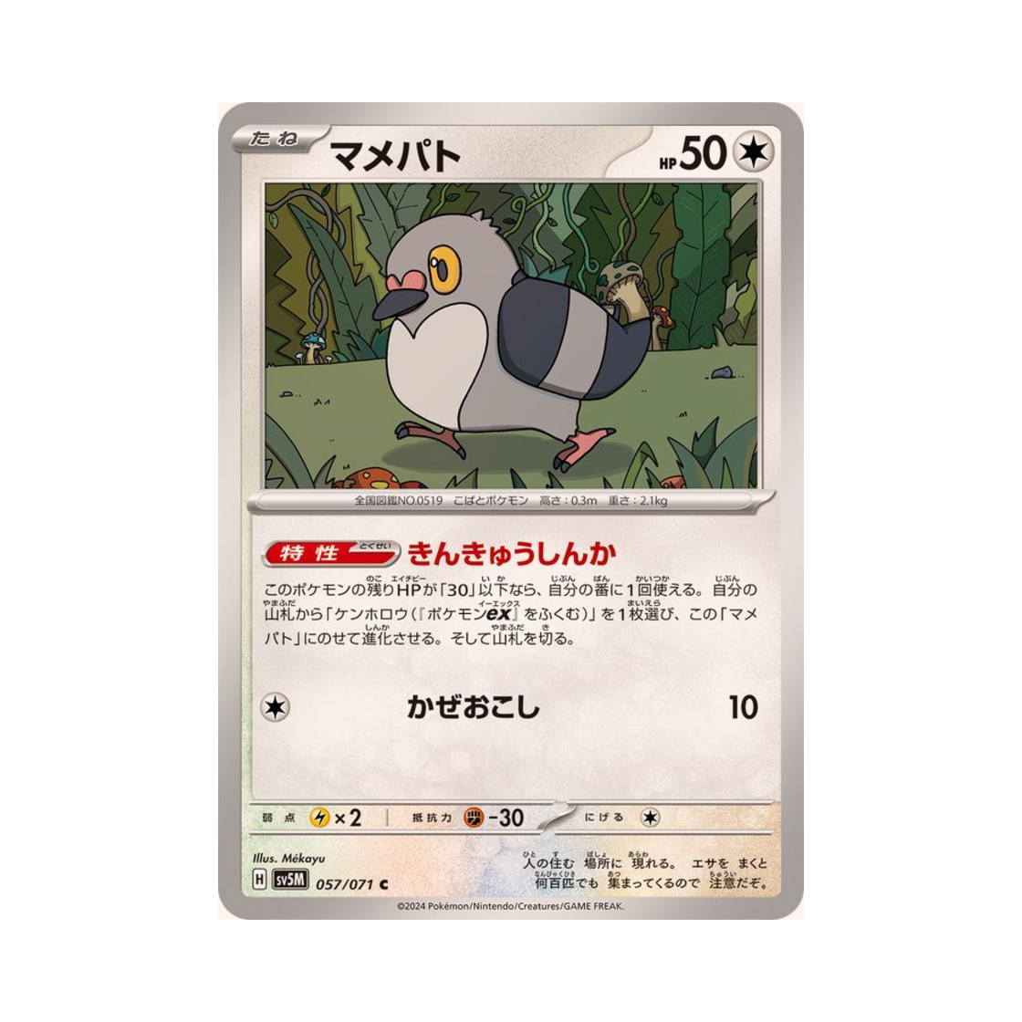 포켓몬 TCG 콩둘기 C 사이버저지 (일어판)(Pokemon TCG Pidove C Cyber Judge (Japanese Ver.)) - 1