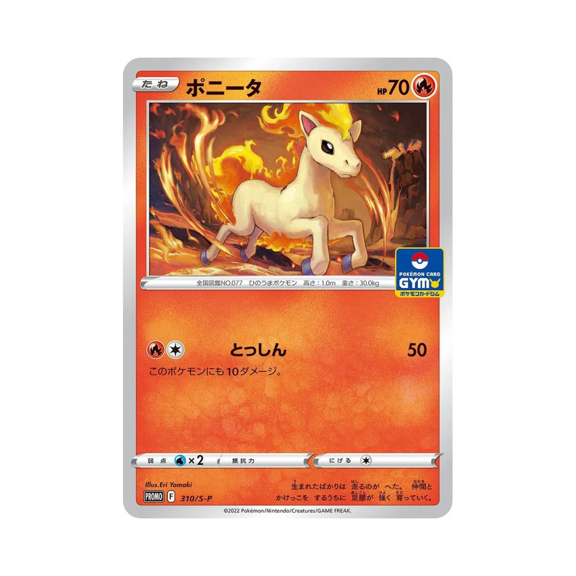 포켓몬 TCG 포니타 P 소드&실드 프로모 카드 (일어판)(Pokemon TCG Ponyta P Sword & Shield Promos (Japanese Ver.)) - 1