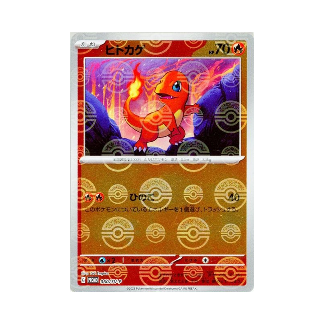 포켓몬 TCG 파이리 P 스칼렛&바이올렛 프로모 카드 (일어판) | Pokemon TCG | KREAM