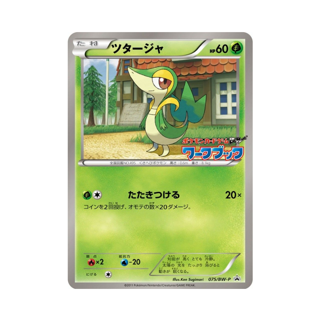 포켓몬 TCG 쥬리비안 P 블랙 & 화이트 프로모카드 (일어판)(Pokemon TCG Snivy P Black & White Promos (Japanese Ver.)) - 1