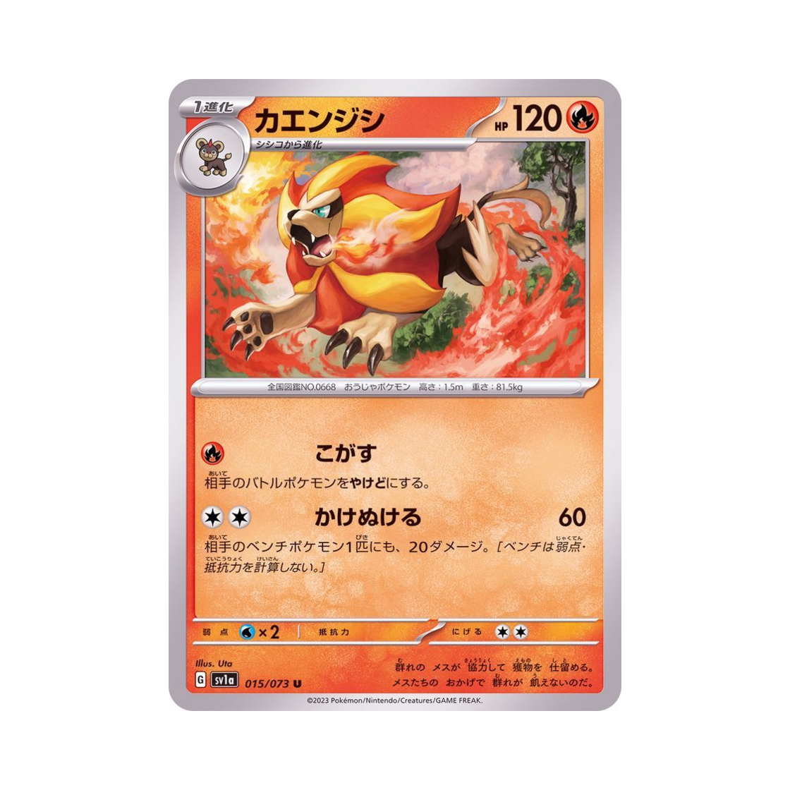 포켓몬 TCG 화염레오 U 트리플렛비트 (일어판)(Pokemon TCG Pyroar U Triplet Beat (Japanese Ver.)) - 1