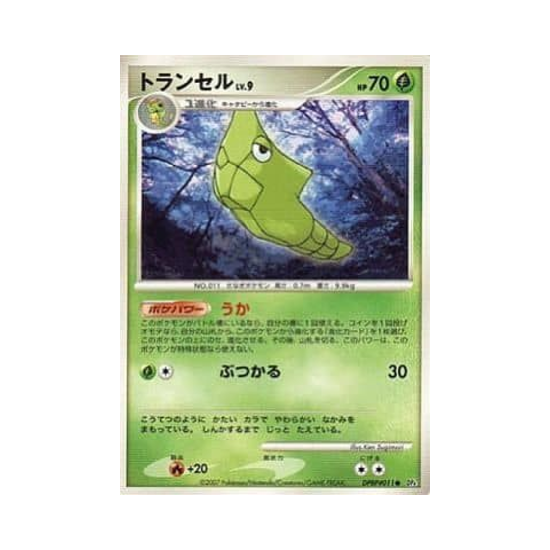포켓몬 TCG 단데기 C 던 대쉬 (일어판)(Pokemon TCG Metapod C Dawn Dash (Japanese Ver.)) - 1