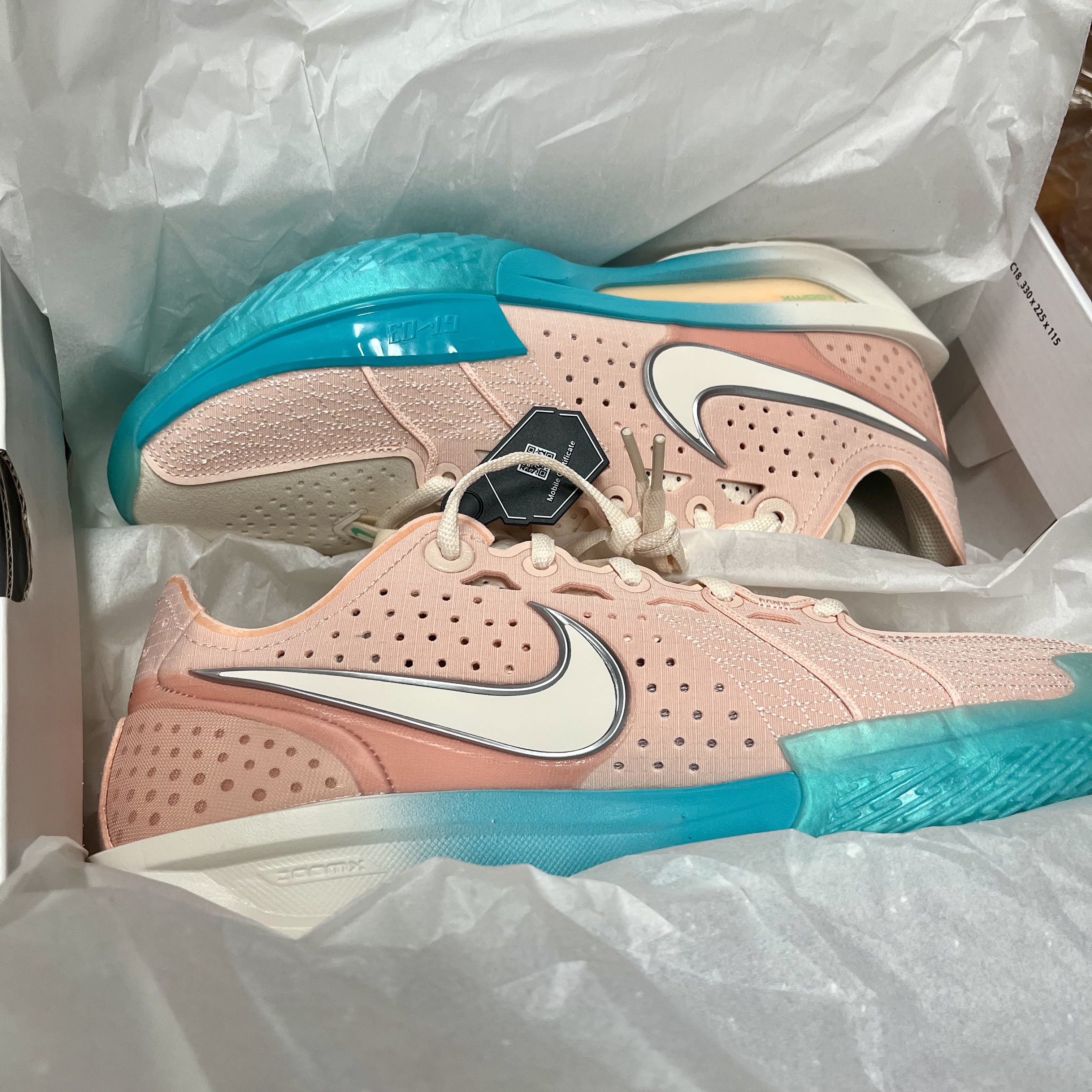 Nike Air Zoom G.T. Cut 3 EP Washed Coral Dusty Cactus 착용 스타일