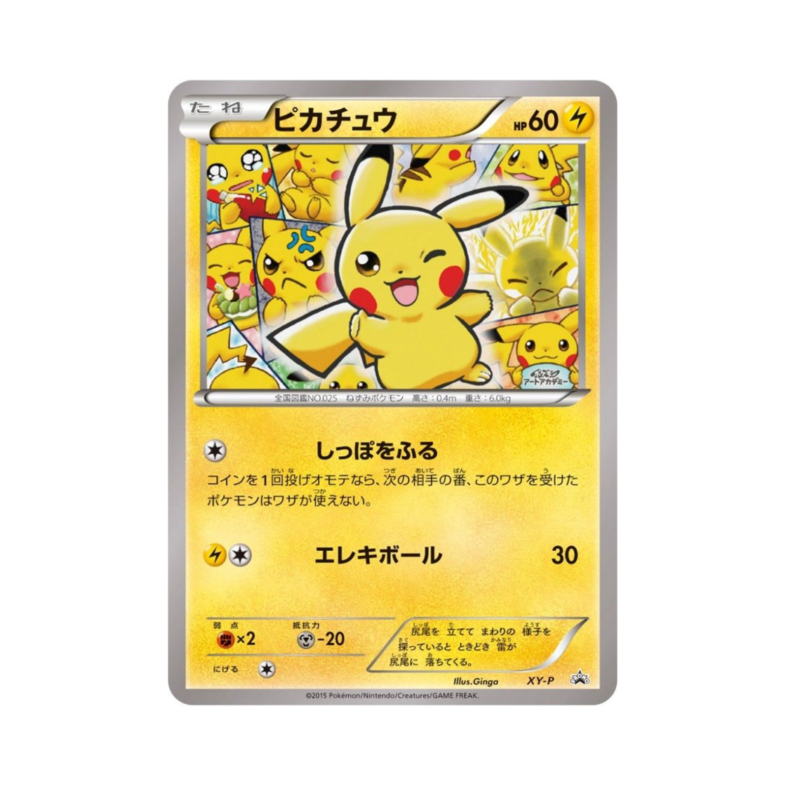 포켓몬 TCG 피카츄 P XY 프로모 카드 (일어판)(Pokemon TCG Pikachu P XY Promos (Japanese Ver.)) - 1