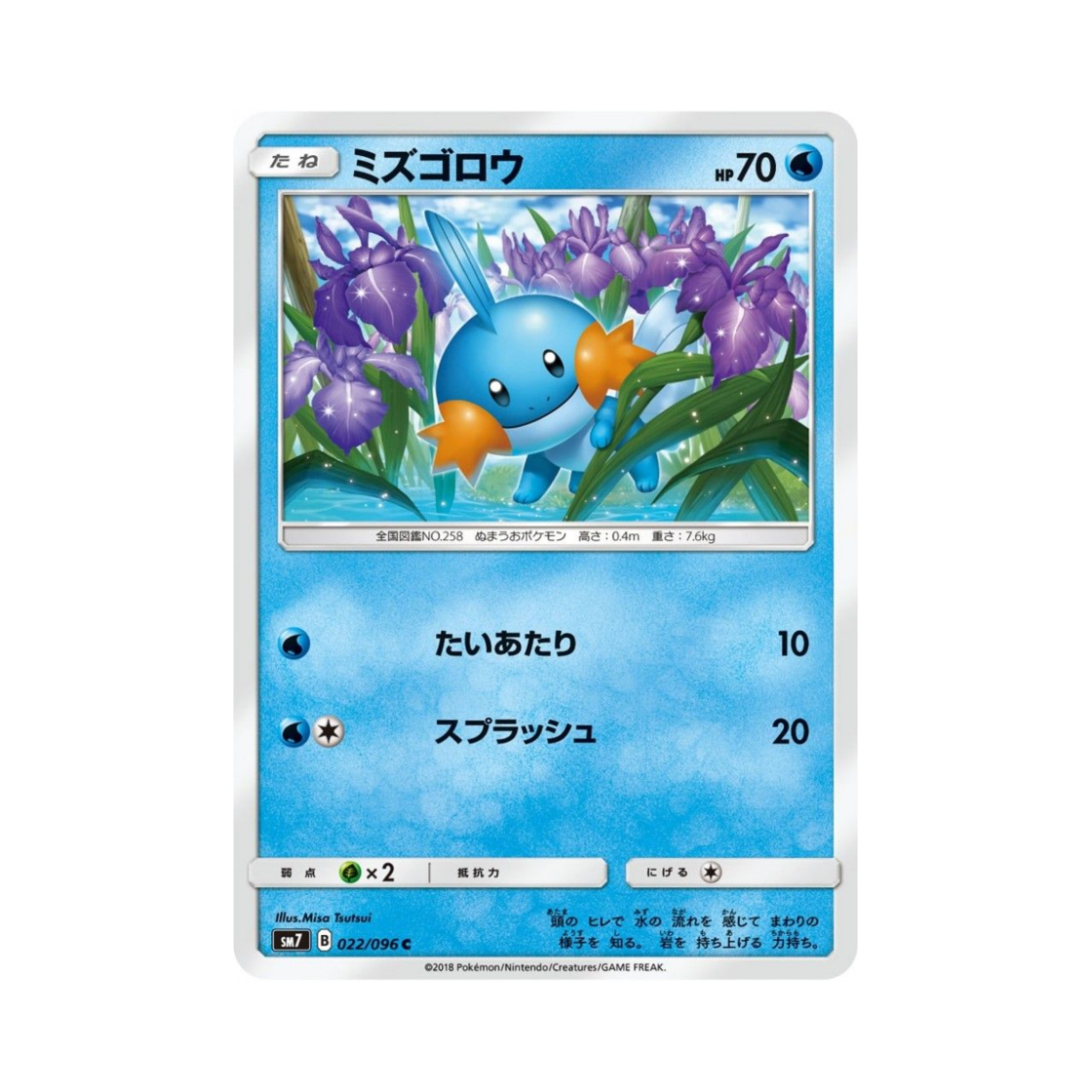 포켓몬 TCG 물짱이 C 창공의 카리스마 (일어판)(Pokemon TCG Mudkip C Charisma Of The Wrecked Sky (Japanese Ver.)) - 1