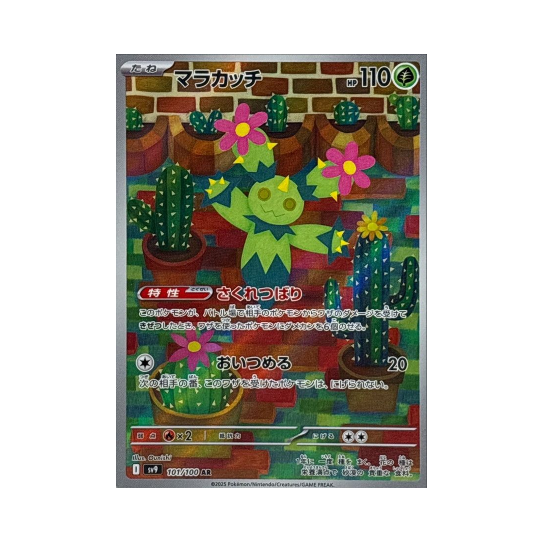 포켓몬 TCG 마라카치 AR 배틀 파트너즈 (일어판)(Pokemon TCG Maractus AR Battle Partners (Japanese Ver.)) - 1
