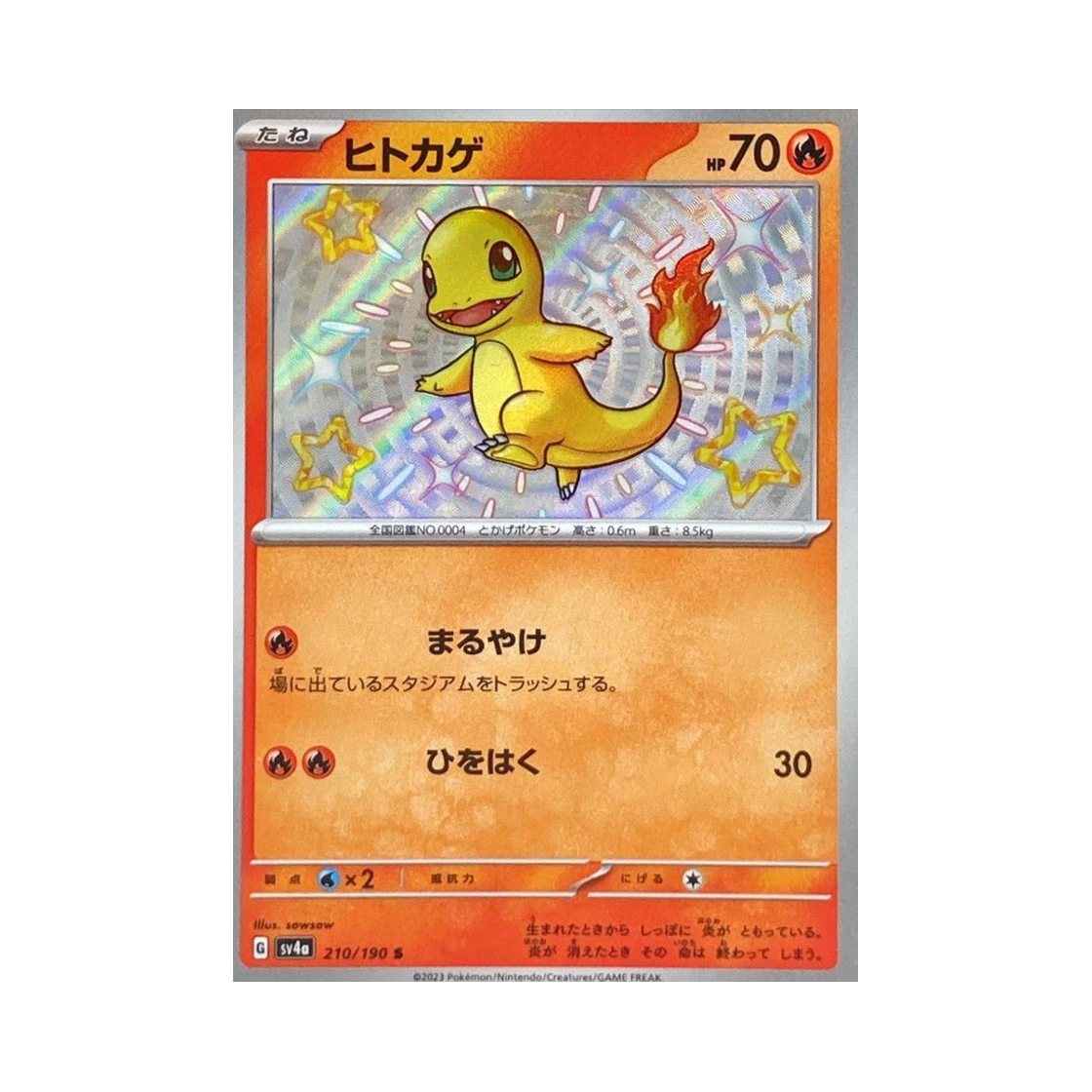 포켓몬 TCG 파이리 S 샤이니 트레져 ex (일어판)(Pokemon TCG Charmander S Shiny Treasure ex (Japanese Ver.))