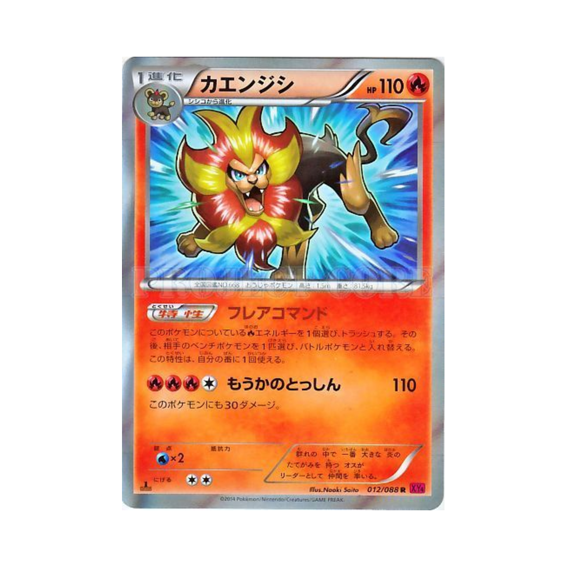 포켓몬 TCG 화염레오 R 팬텀게이트 퍼스트 에디션 (일어판)(Pokemon TCG Pyroar R Phantom Gate 1st Edition (Japanese Ver.))