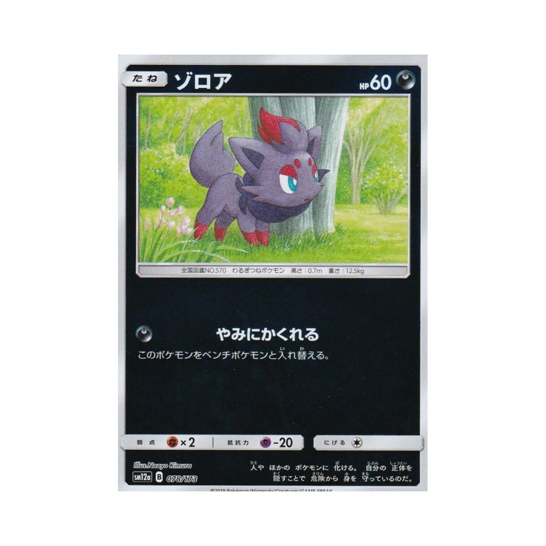 포켓몬 TCG 조로아 미러 GX 태그올스타즈 (일어판)(Pokemon TCG Zorua Mirror Tag All Stars (Japanese Ver.)) - 1