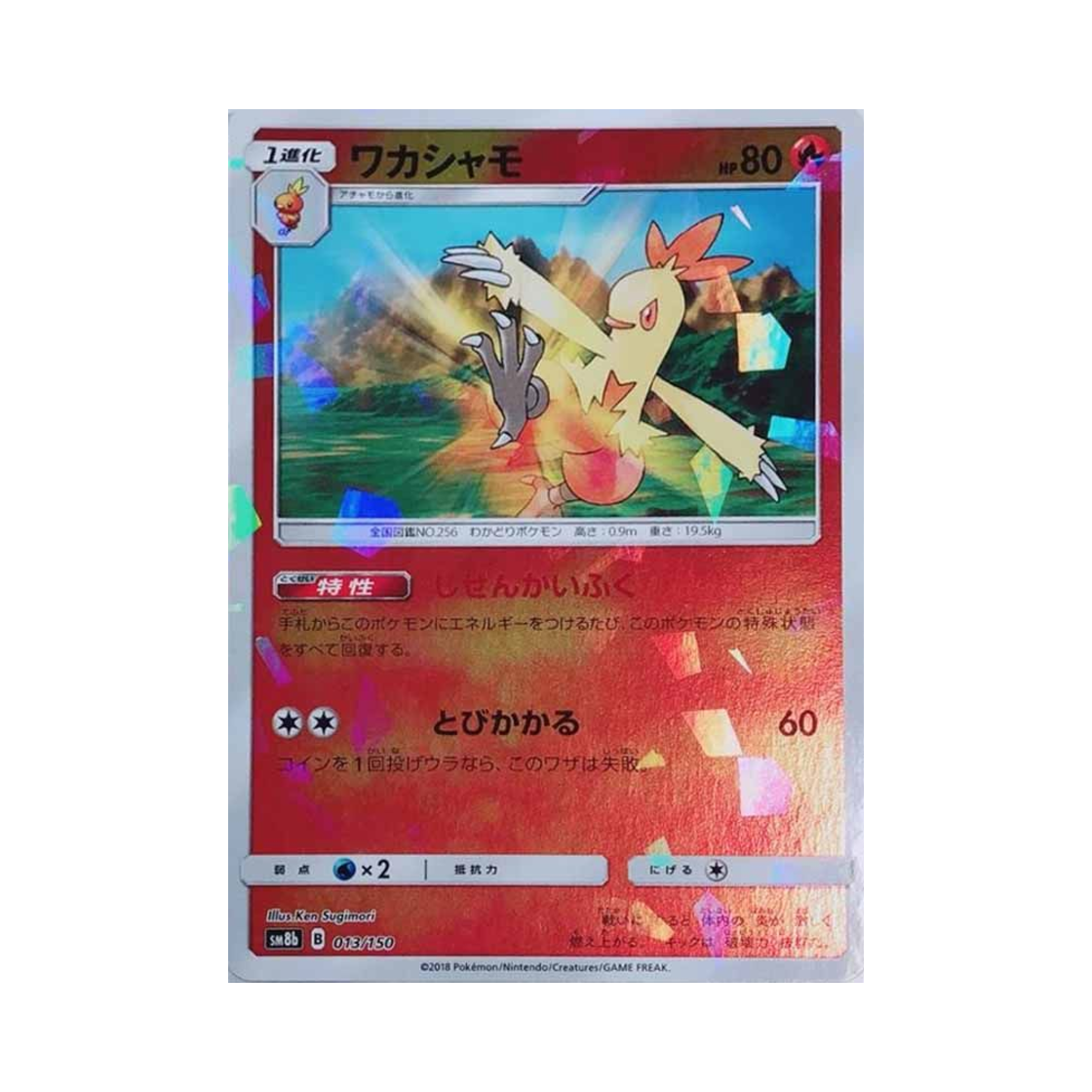 SM8B-013-150MIRROR Pokemon TCG Combusken Mirror Gx Ultra Shiny (Japanese Ver.)
