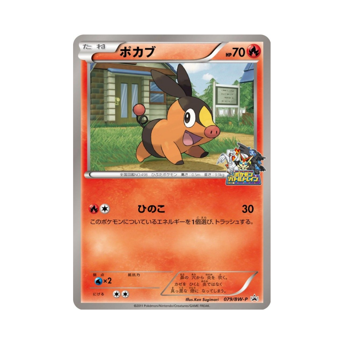 포켓몬 TCG 뚜꾸리 P 블랙 & 화이트 프로모카드 (일어판)(Pokemon TCG Tepig P Black & White Promos (Japanese Ver.))