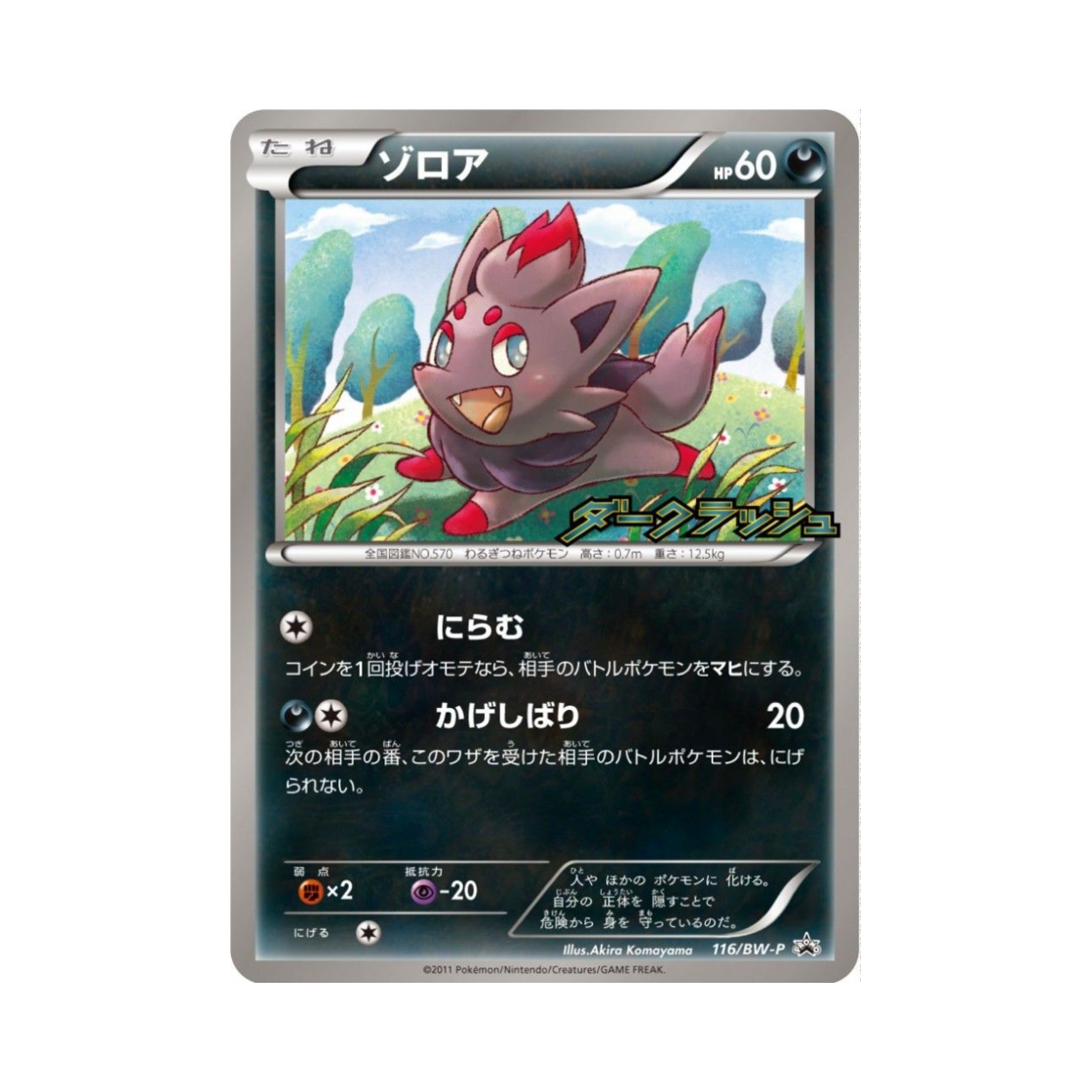 PROMO116-BW-P Pokemon TCG Zorua P Black & White Promos (Japanese Ver.)