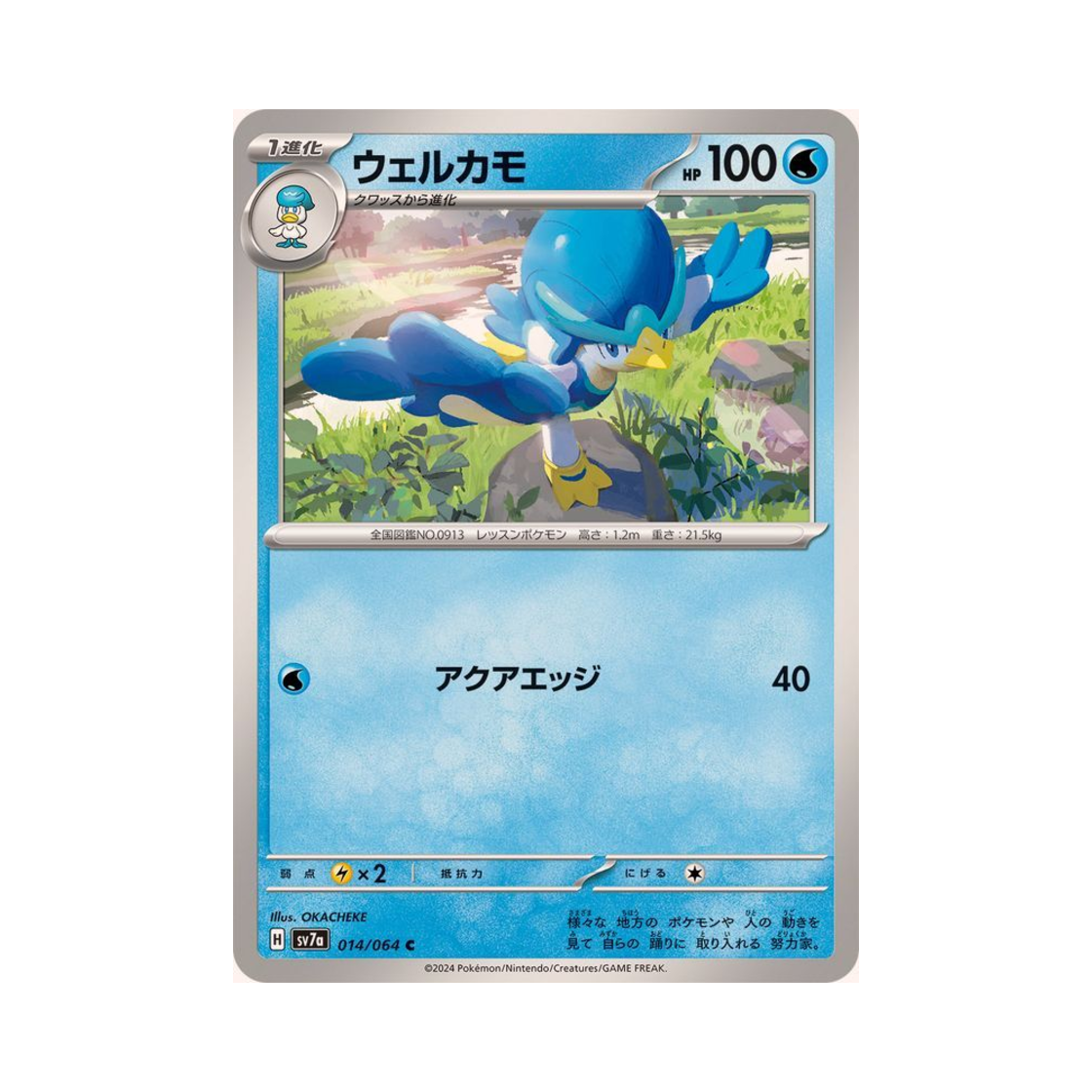 포켓몬 TCG 아꾸왁 C 낙원드래고나 (일어판)(Pokemon TCG Quaxwell C Paradise Dragona (Japanese Ver.)) - 1