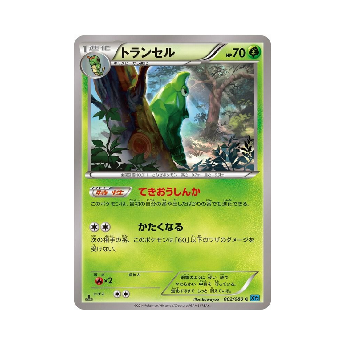 포켓몬 TCG 단데기 C 와일드 블레이즈 퍼스트 에디션 (일어판)(Pokemon TCG Metapod C Wild Blaze 1st Edition (Japanese Ver.)) - 1