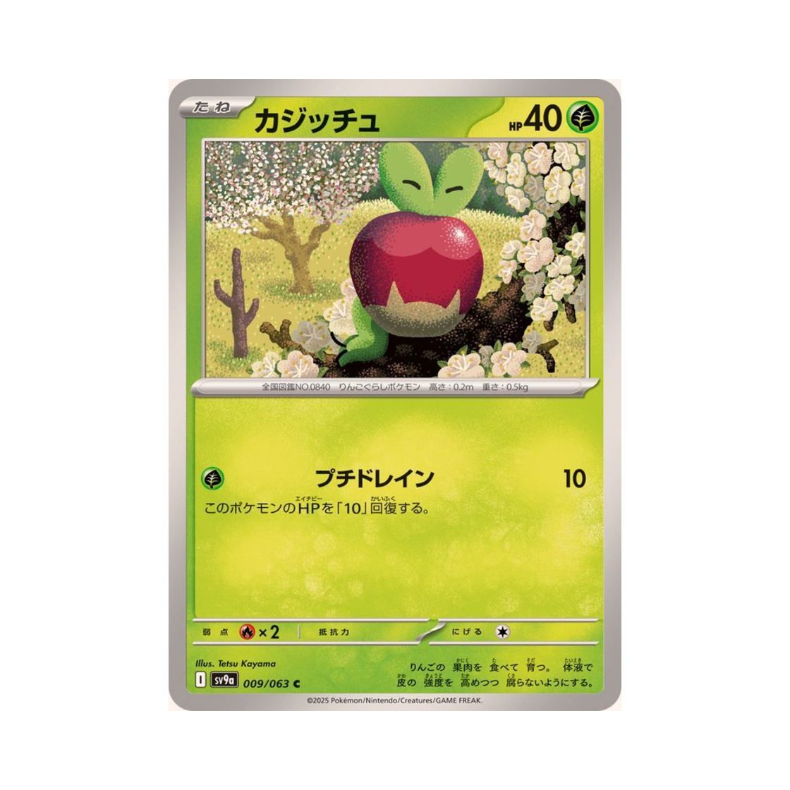 포켓몬 TCG 과사삭벌레 C 열풍의 아레나 (일어판)(Pokemon TCG Applin C Hot Air Arena (Japanese Ver.))