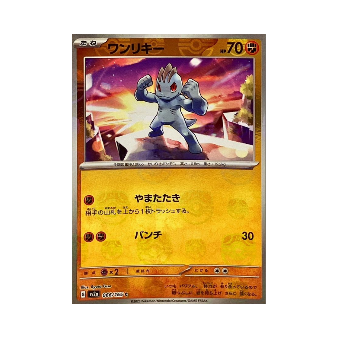 SV2A-066-165MASTERBALLMIRROR Pokemon TCG Machop C Masterball Mirror Pokemon Card 151 (Japanese Ver.)