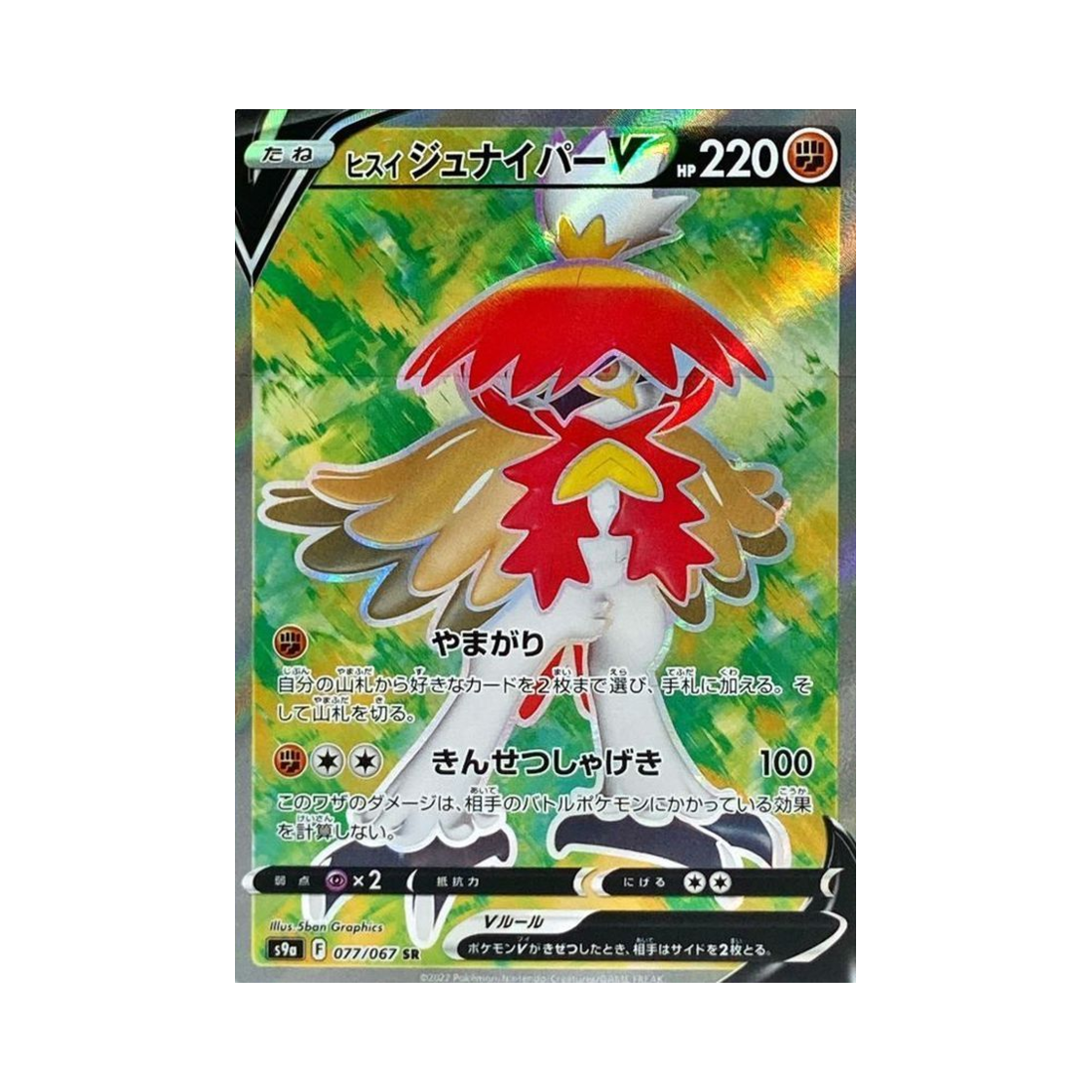 포켓몬 TCG 히스이 모크나이퍼 V SR 배틀리전 (일어판)(Pokemon TCG Hisuian Decidueye V SR Battle Region (Japanese Ver.)) - 1