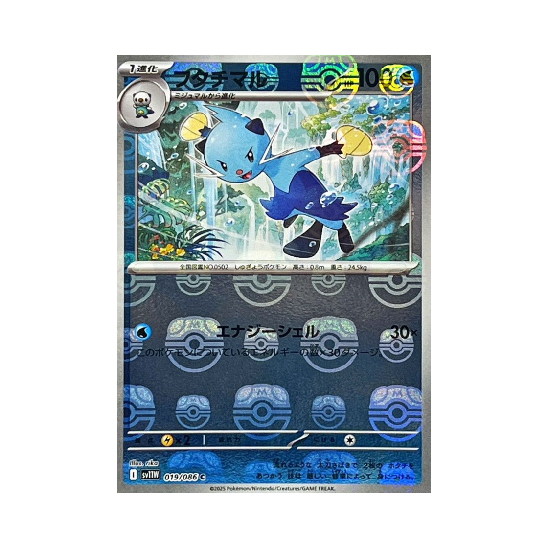 포켓몬 TCG 쌍검자비 C 마스터볼 미러 화이트 플레어 (일어판)(Pokemon TCG Dewott C Masterball Mirror White Flare (Japanese Ver.)) - 1