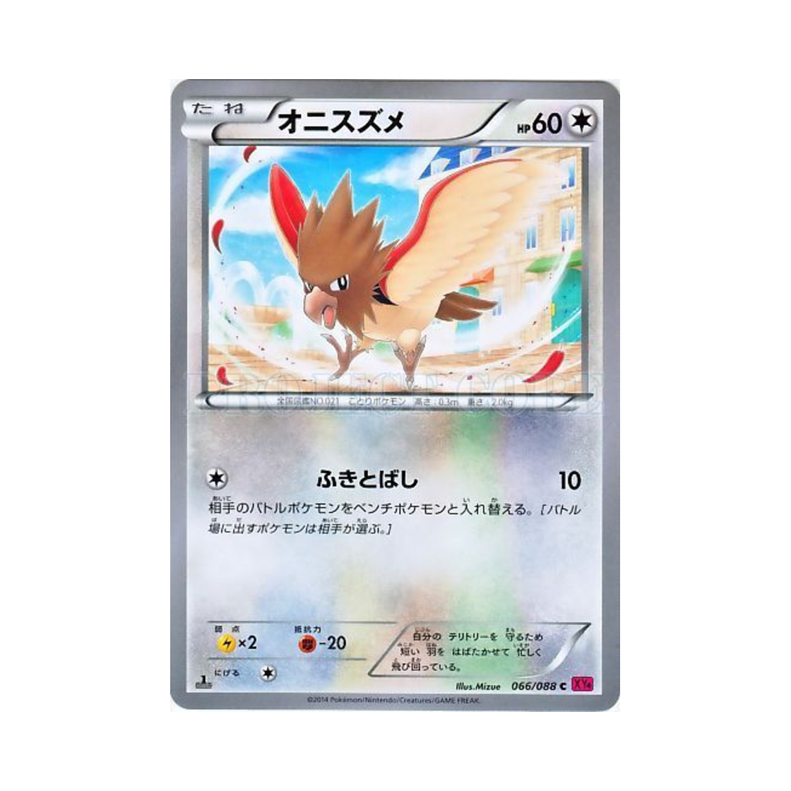 포켓몬 TCG 깨비참 C 팬텀게이트 퍼스트 에디션 (일어판)(Pokemon TCG Spearow C Phantom Gate 1st Edition (Japanese Ver.)) - 1