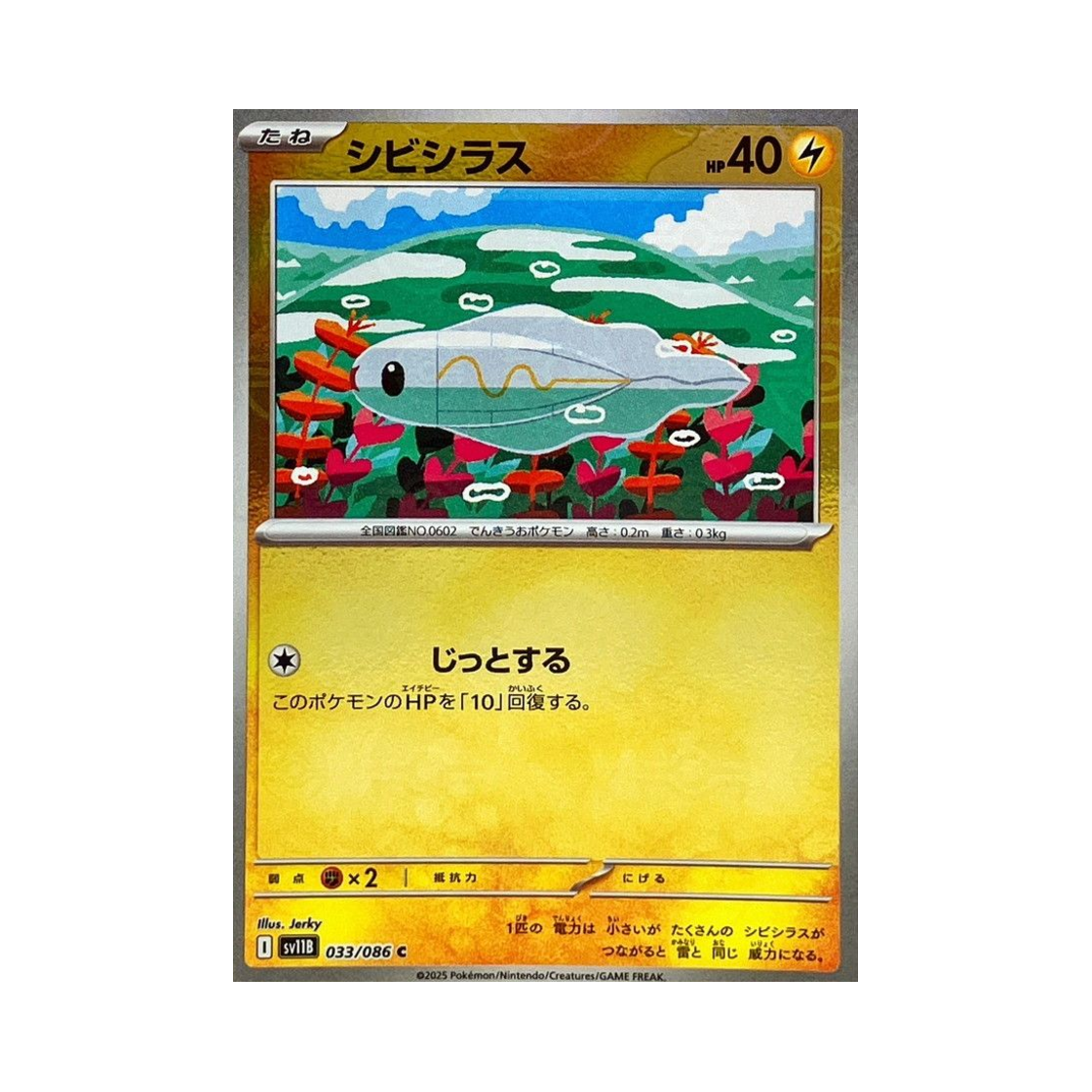 포켓몬 TCG 저리어 C 블랙 볼트 (일어판)(Pokemon TCG Tynamo C Black Bolt (Japanese Ver.))