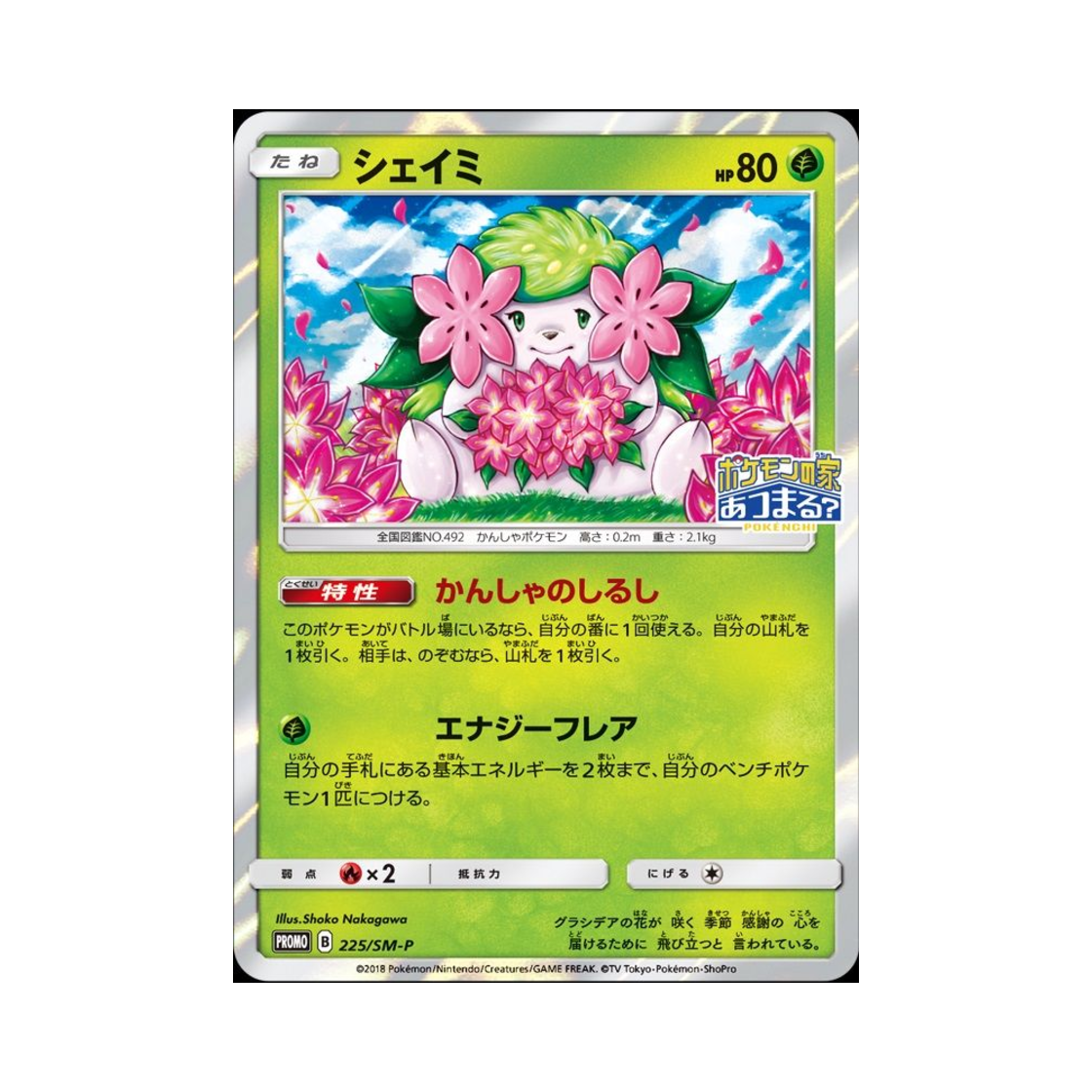 PROMO225-SM-P Pokemon TCG Shaymin P Sun & Moon Promos (Japanese Ver.)