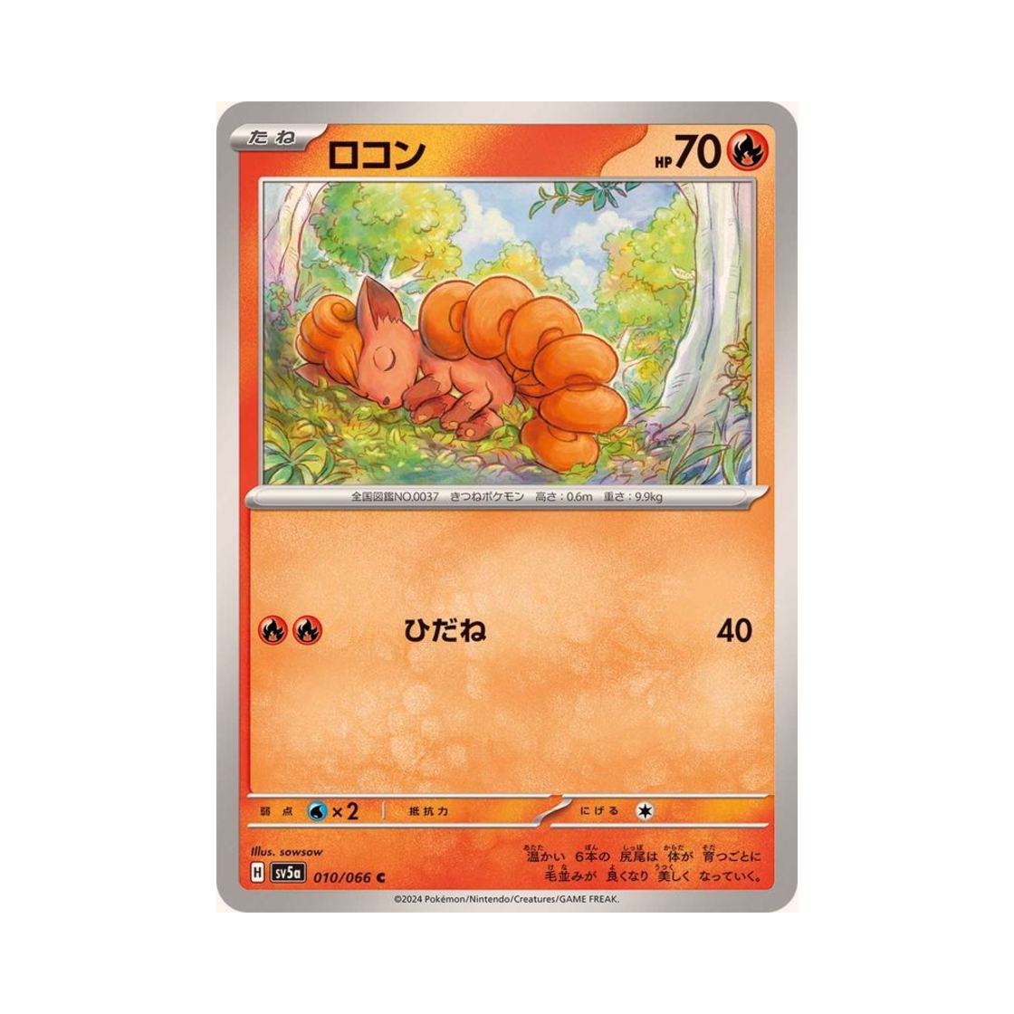 포켓몬 TCG 식스테일 C 크림슨 헤이즈 (일어판)(Pokemon TCG Vulpix C Crimson Haze (Japanese Ver.)) - 1