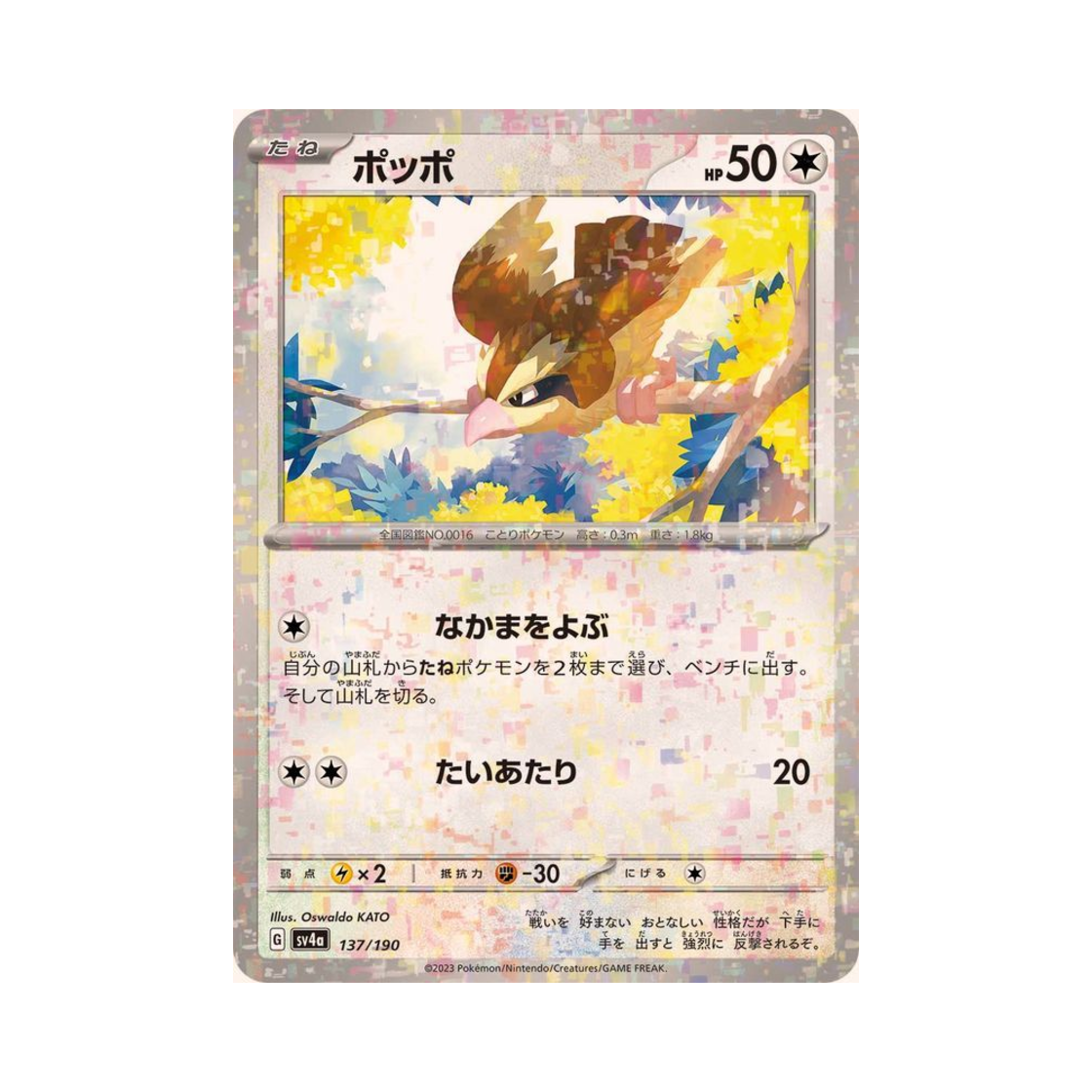 포켓몬 TCG 구구 미러 샤이니 트레져 ex (일어판)(Pokemon TCG Pidgey Mirror Shiny Treasure ex (Japanese Ver.)) - 1