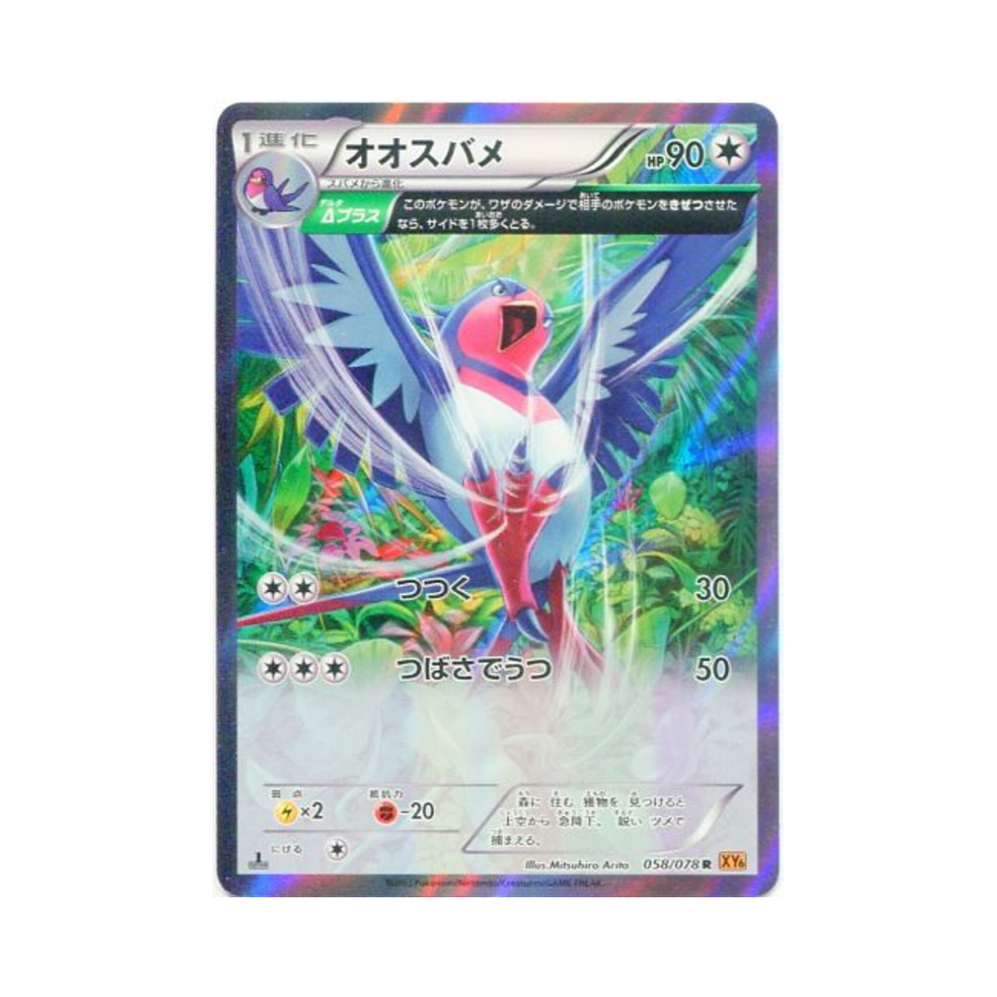 포켓몬 TCG 스왈로 R 에메랄드 브레이크 퍼스트 에디션 (일어판)(Pokemon TCG Swellow R Emerald Break 1st Edition (Japanese Ver.)) - 1
