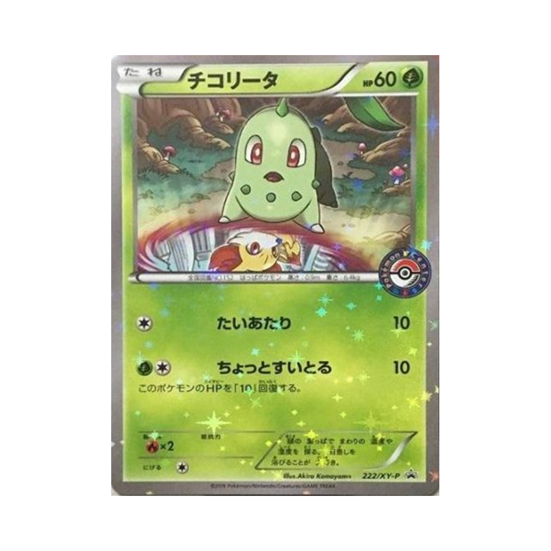 PROMO222-XY-P Pokemon TCG Chikorita P XY Promos (Japanese Ver.)