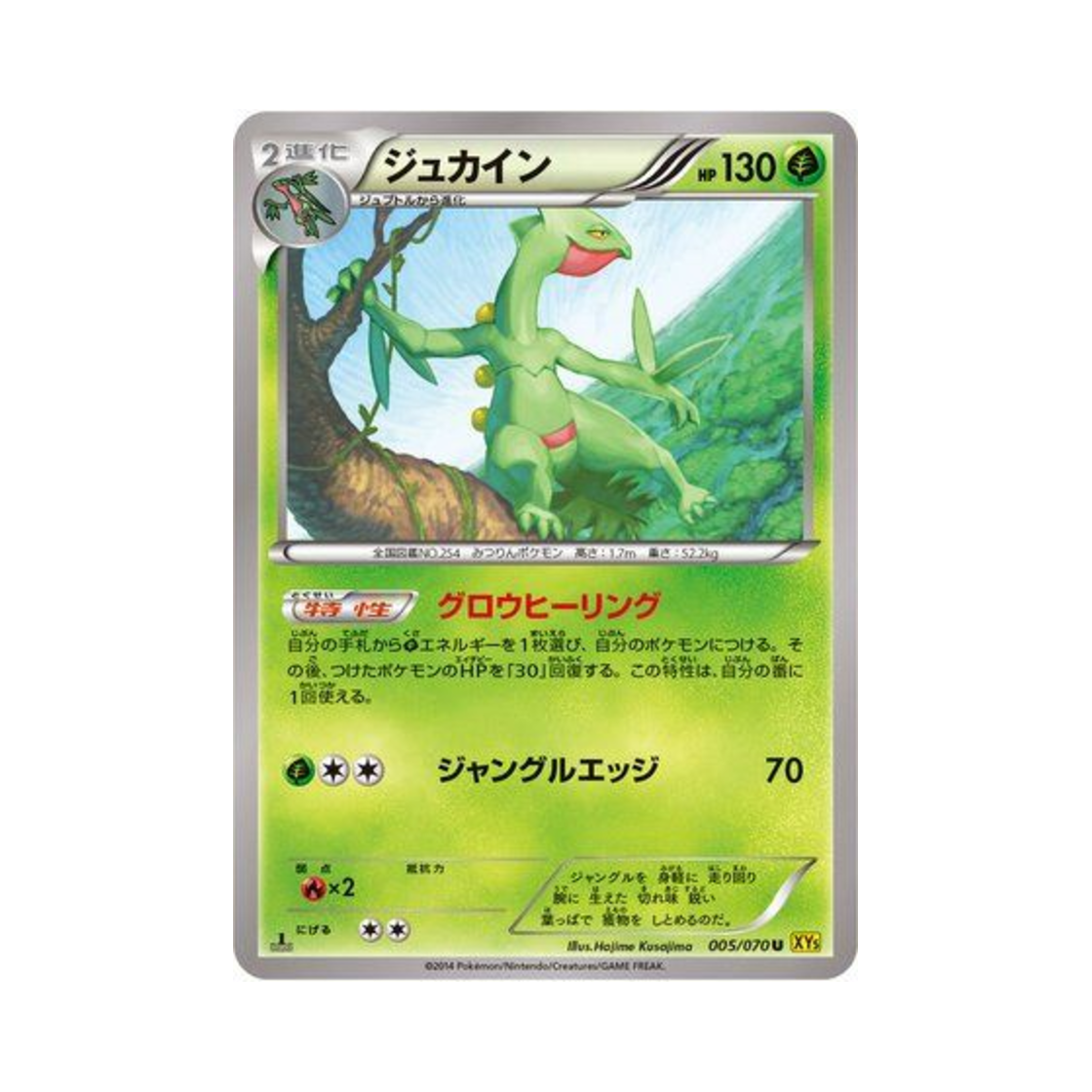 포켓몬 TCG 나무킹 U 가이아 볼케이노 (일어판)(Pokemon TCG Sceptile U Gaia Volcano (Japanese Ver.)) - 1