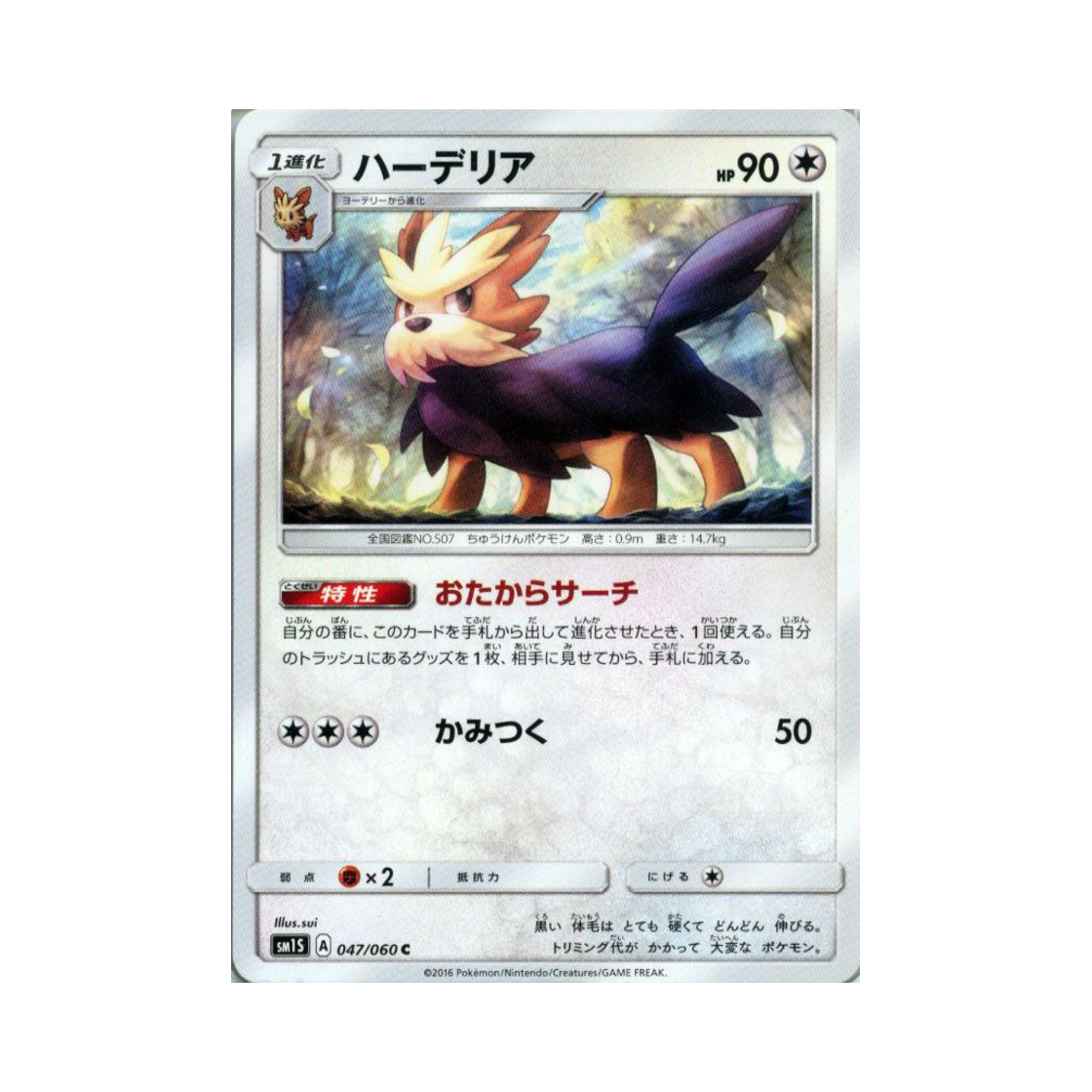 포켓몬 TCG 하데리어 C 썬 컬렉션 (일어판)(Pokemon TCG Herdier C Collection Sun (Japanese Ver.)) - 1