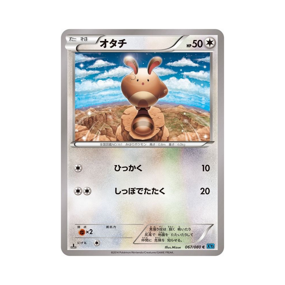 포켓몬 TCG 꼬리선 C 와일드 블레이즈 퍼스트 에디션 (일어판)(Pokemon TCG Sentret C Wild Blaze 1st Edition (Japanese Ver.)) - 1