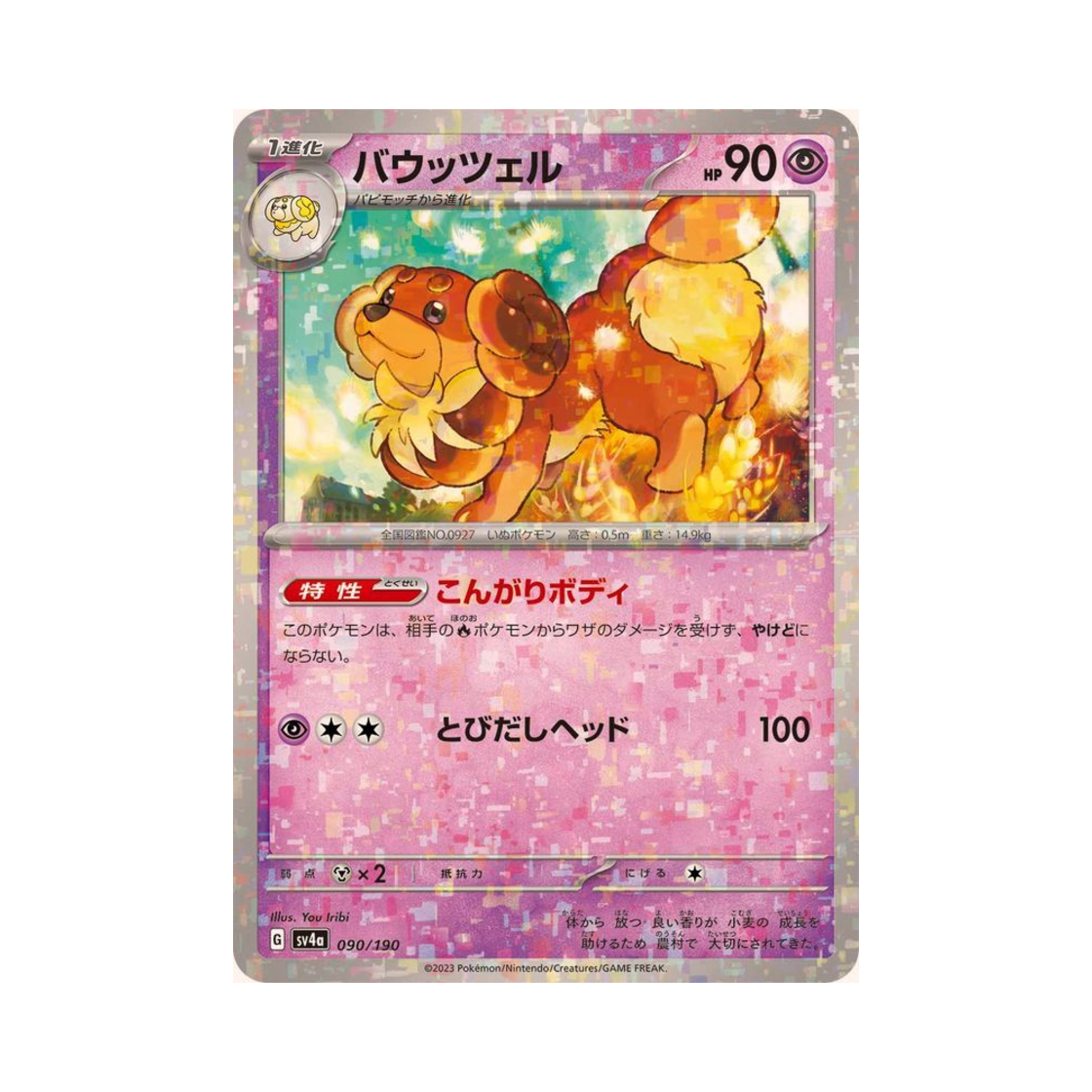 포켓몬 TCG 바우첼 미러 샤이니 트레져 ex (일어판)(Pokemon TCG Dachsbun Mirror Shiny Treasure ex (Japanese Ver.)) - 1