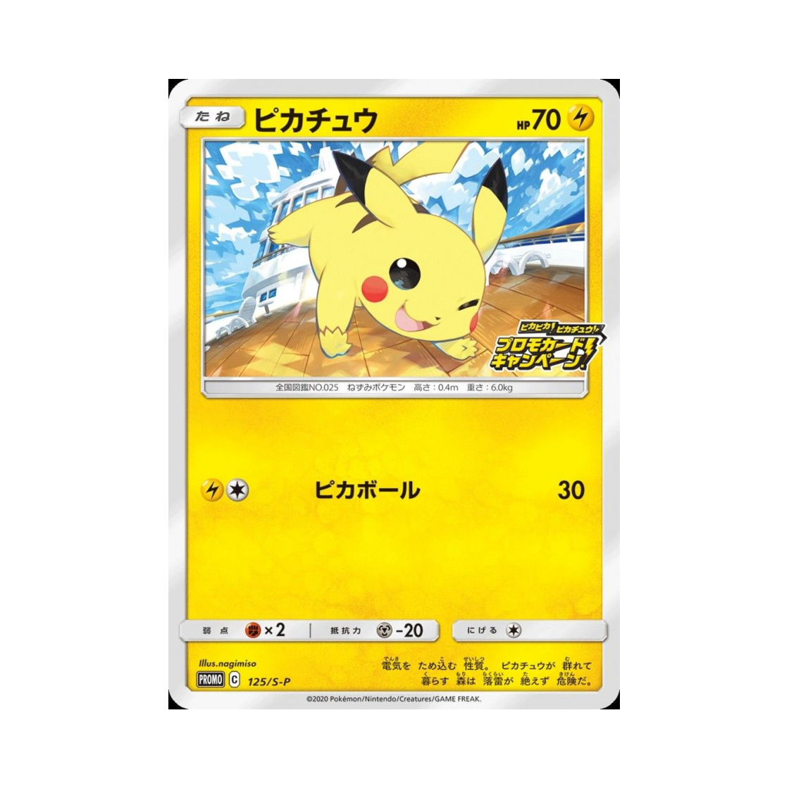 포켓몬 TCG 피카츄 P 소드&실드 프로모 카드 (일어판)(Pokemon TCG Pikachu P Sword & Shield Promos (Japanese Ver.)) - 1