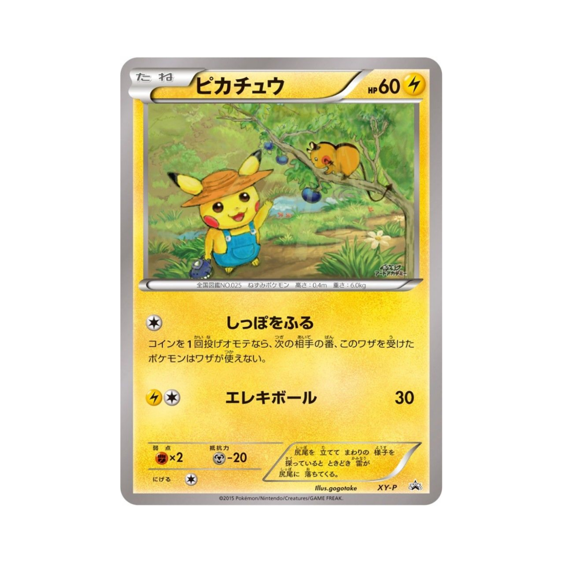 포켓몬 TCG 피카츄 P XY 프로모 카드 (일어판)(Pokemon TCG Pikachu P XY Promos (Japanese Ver.)) - 1