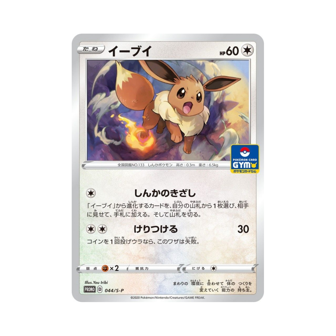 포켓몬 TCG 이브이 P 소드&실드 프로모 카드 (일어판)(Pokemon TCG Eevee P Sword & Shield Promos (Japanese Ver.)) - 1