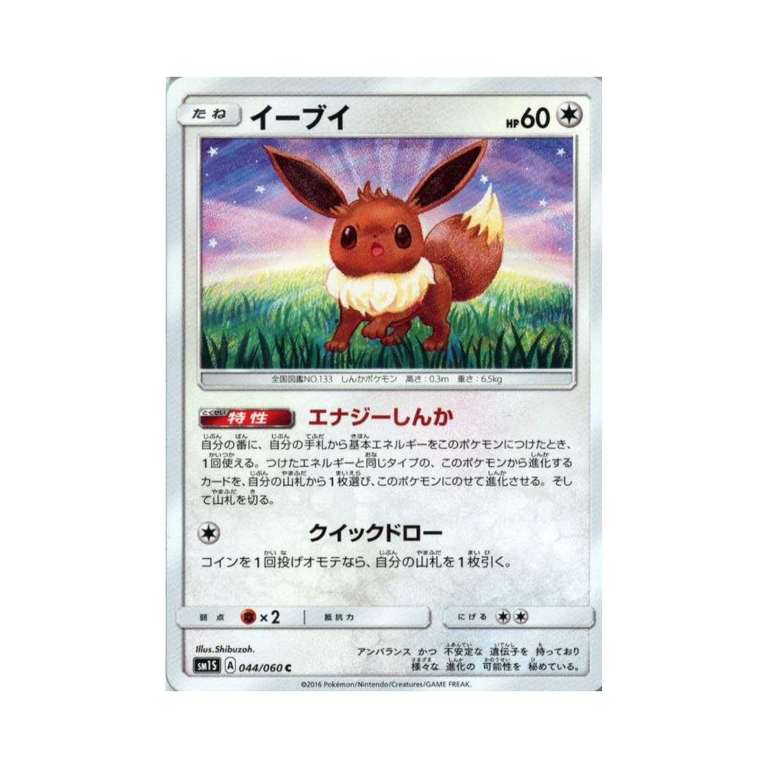포켓몬 TCG 이브이 C 썬 컬렉션 (일어판)(Pokemon TCG Eevee C Collection Sun (Japanese Ver.)) - 1