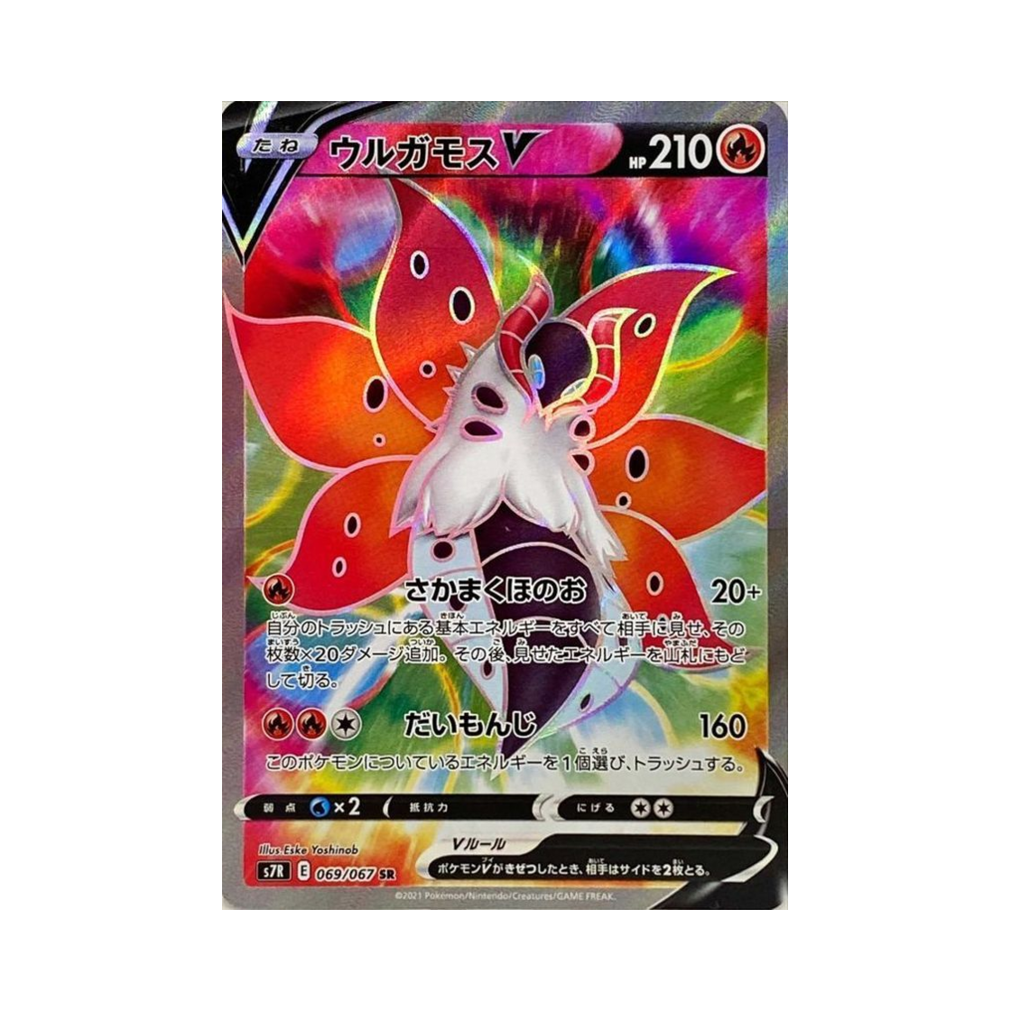포켓몬 TCG 불카모스 V SR 창공스트림 (일어판)(Pokemon TCG Volcarona V SR Blue Sky Stream (Japanese Ver.)) - 1