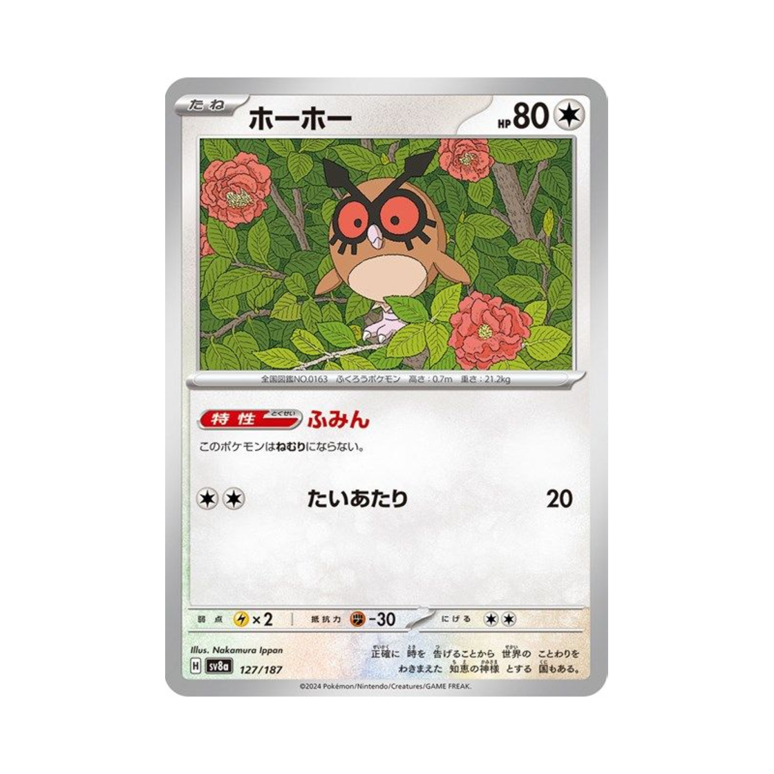 포켓몬 TCG 부우부 테라스탈 페스타 ex (일어판)(Pokemon TCG Hoothoot Terastal Fest ex (Japanese Ver.)) - 1